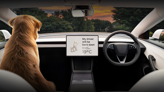 Beyond Driving: Exploring Tesla's Dog Mode and Camp Mode